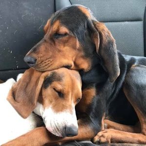 Meet your Posher, Trever